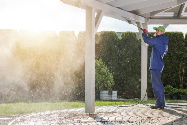 Best Soft Washing  in Carlyle, IL