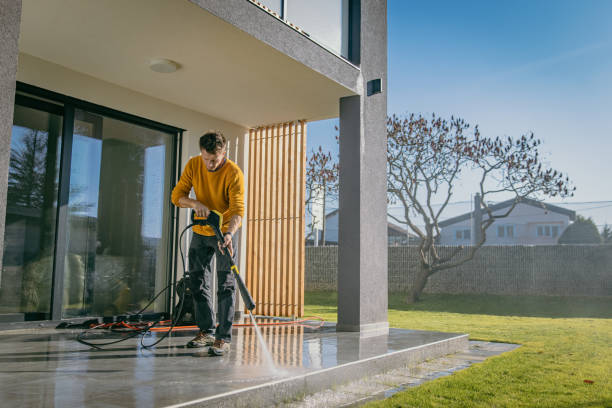 Best Driveway Pressure Washing  in Carlyle, IL